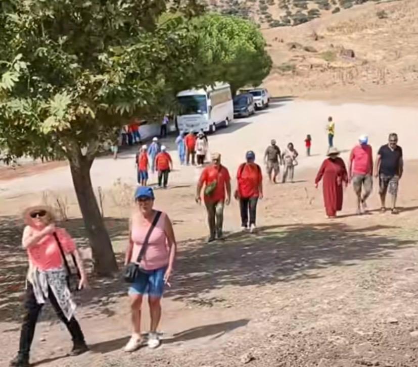 Faaliyet 2.1 - Fotoğraf 28